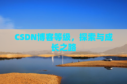 CSDN博客等级,探索与成长之路